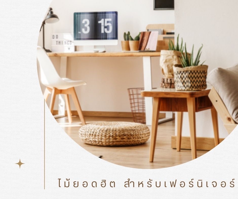 ไม้ 5 ชนิด ยอดฮิต สำหรับเฟอร์นิเจอร์